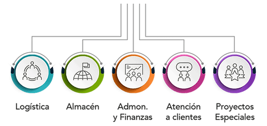 organigrama servicare