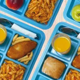 bandejas de servicio con comida